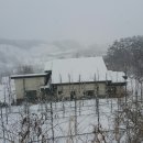 가재골농장 네이버블로그