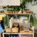 마포-상암-마포-6328 | 망원역 조용한 브런치카페 ‘도카’ 내돈내산 후기