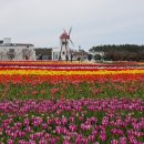 하우리덕 이미지