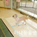 사우동골 이미지