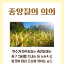 10월 11일(금) 음9.9 국화 향기 그윽한 가을명절, 중양절 이미지