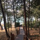 주식회사 백년한옥 대청 게스트하우스 | 목포한옥스테이:백년한옥 게스트하우스 1인실 후기