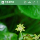 고전무용 | [하얀나무] 2025 정산 2 - 콘서트, 무용, 전시 &amp; 베스트