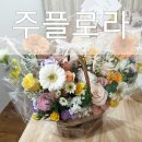 주플로 이미지