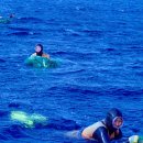 김영희목장 이미지