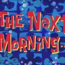 영차영차 이미지