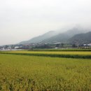 목화공원주차장 이미지