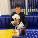 피터펫 논현점 | 강남 실내 애견카페 피터펫 논현점 후기