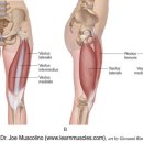 밸런스랩 근골격 운동센터 이미지