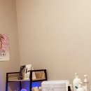 라이콘 스파에센셜 뷰티랩
