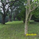 다락골줄무덤 주차장 이미지