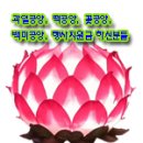 2024년 cyber 연등실 - 클릭하시면 본인 등 있습니다. 이미지