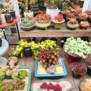 다송농장 이미지