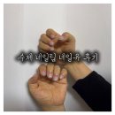 네일유 | 수제네일팁 네일유 사이즈측정 바코드네일 실제 사용 후기