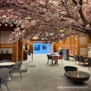 율암로 | 대구 아이랑 숙소 JB관광호텔 온돌룸 한옥 스타일 솔직 후기