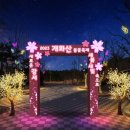 강서구-4 이미지