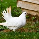 미사박사공인중개사사무소 이미지