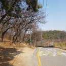 원적산체육공원 테니스장 이미지