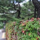 충북청주 갈만한곳 국립청주박물관 다녀온후기