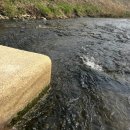 화목3통(여) | 2026-3月