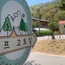 캠프 고토일 이미지