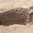 강진10호 이미지