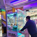 뽑아브러 이미지