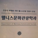 여행동아리웰니스관광
