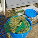 상리목장 이미지