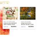굿모닝여행사 - 금천구 디지털로 121 | 굿모닝여행사
