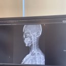 임대환한의원 | 도수 치료 잘하는 종로 통증의학과 추천 하고갑니당!