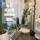 2709 | [대구 신암동 속눈썹] 자연스러운 속눈썹 연장 후기