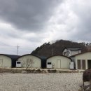 나경버섯농가 이미지