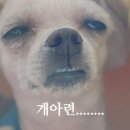 소리징 이미지