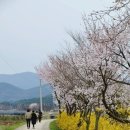 담양고등학교 이미지
