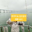 킹콩낚시 | 🐙[인천 쭈꾸미낚시 후기] 여자혼자 킹콩낚시 6호 오전배 출조 | 10월 6물 조황 &amp; 화장실 — 내돈내산 리뷰