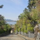 아잘리아그린 | 아잘리아그린 캠핑장 솔직후기-예약 가격 주차 자리 추천