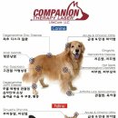 24시해든동물메디컬센터 이미지