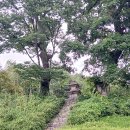 김제 ＜귀신사＞와 ＜금산사＞ 이미지