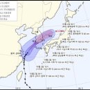 픽스휠;타이어 이미지