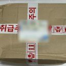 구일샵 | 특별한 강아지 생일파티 용품🎂 ( 부모님 용돈 이벤트, 조카 선물 추천 )