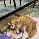 동인천한의원 이미지