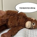 광승 | 평택 청북 양평해장국, 진한 국물로 속을 풀어주는 해장국 한 그릇