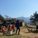 외간초등학교병설유치원 이미지