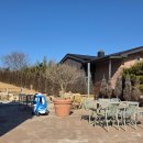 목림 | 담양애견동반카페 목림 브런치 후기