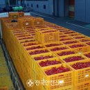 영양고추유통센터 이미지