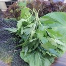 복룡숯불고깃간 이미지