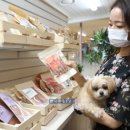 프랑소와펫 롯데일산점 이미지