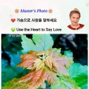 kiss My Dog 이미지