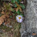 임걸령옹달샘 이미지